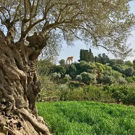 Himera Al Centro Di *